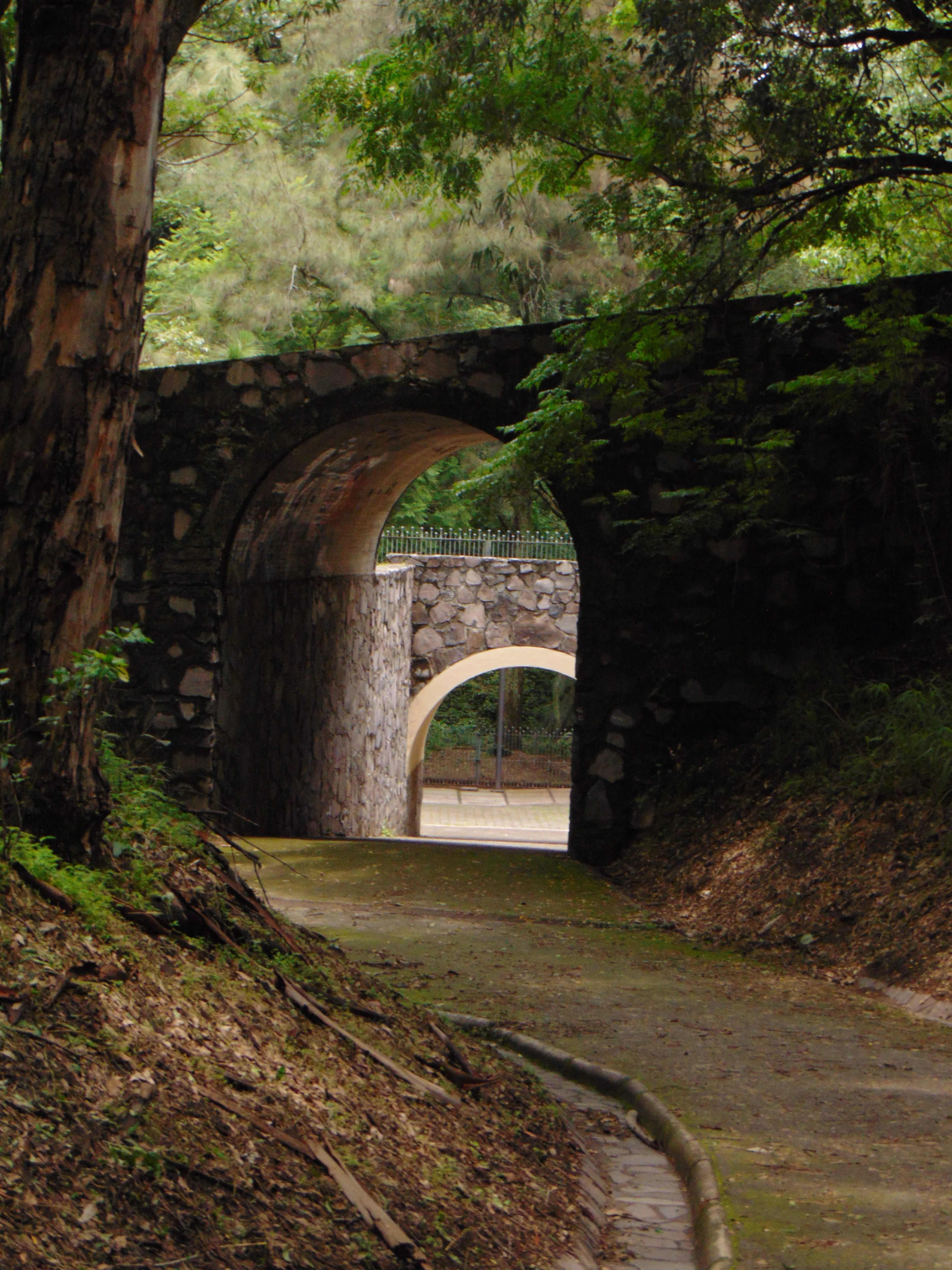 Puente